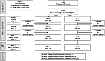 Supplementation with postbiotic from Bifidobacterium Breve BB091109 improves inflammatory status and endocrine function in healthy females: a randomized, double-blind, placebo-controlled, parallel-groups study